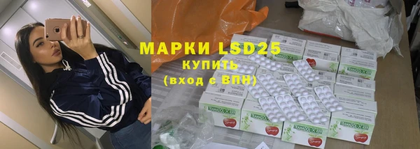 сатива Мегион