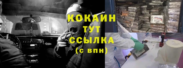 сатива Мегион