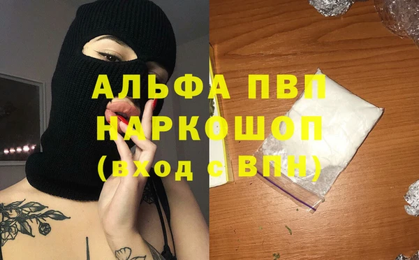 спиды Медвежьегорск