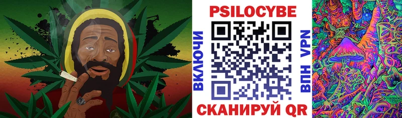 Псилоцибиновые грибы мицелий кракен онион Райчихинск